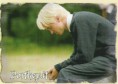 /album/draco-malfoy/a00000022-jpg/